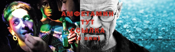 ГАЛЛЮЦИНОГЕННЫЕ ГРИБЫ Богданович