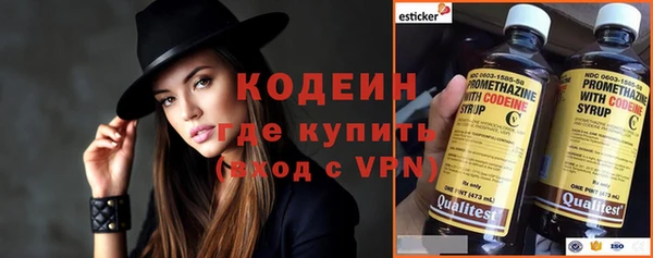 ГАЛЛЮЦИНОГЕННЫЕ ГРИБЫ Богданович