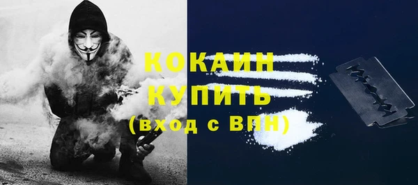 ГАЛЛЮЦИНОГЕННЫЕ ГРИБЫ Богданович