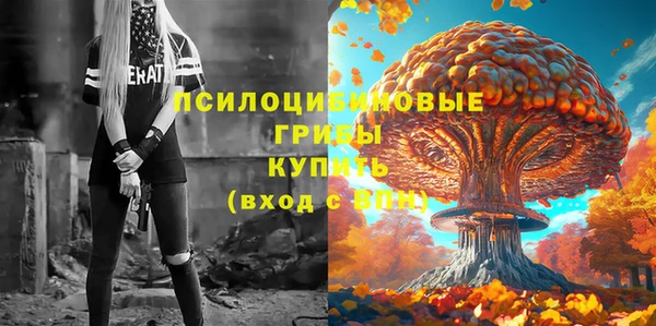гашик Богородск