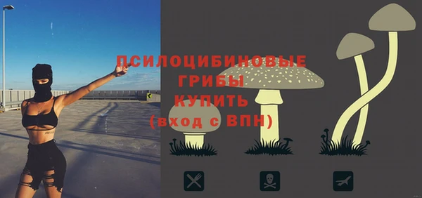 Альфа ПВП Бородино