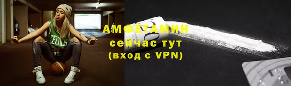 ГАЛЛЮЦИНОГЕННЫЕ ГРИБЫ Богданович