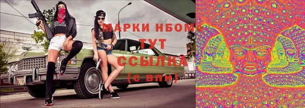 ГАЛЛЮЦИНОГЕННЫЕ ГРИБЫ Богданович