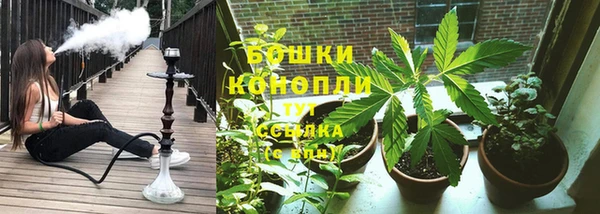 ГАЛЛЮЦИНОГЕННЫЕ ГРИБЫ Богданович