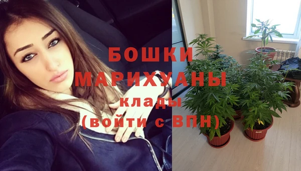прущие крисы Белокуриха