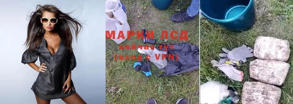 ГАЛЛЮЦИНОГЕННЫЕ ГРИБЫ Богданович