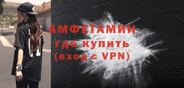 ГАЛЛЮЦИНОГЕННЫЕ ГРИБЫ Богданович